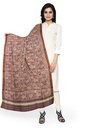 Handloom Single Ikat Patola Silk Dupatta