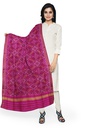Handloom Single Ikat Patola Silk Dupatta