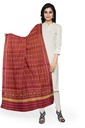Handloom Single Ikat Patola Silk Dupatta