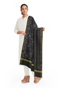 Handloom Single Ikat Patola Silk Dupatta