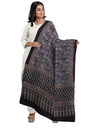 Ajrakh Hand Block Print Modal Silk Dupatta