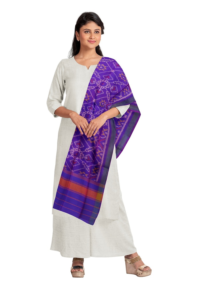 Handloom Single Ikat Patola Silk Dupatta