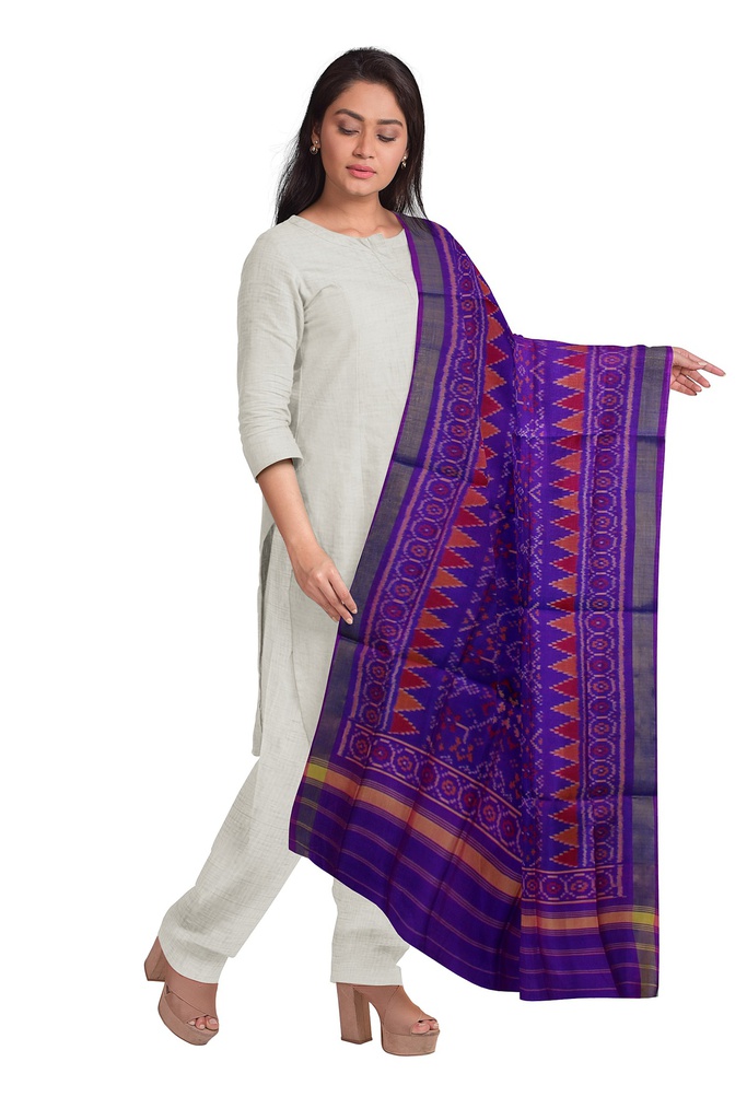 Handloom Single Ikat Patola Silk Dupatta