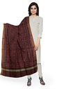 Handloom Single Ikat Patola Silk Dupatta