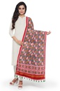 Red and Dark Green Handwoven Double Ikat Silk Dupatta