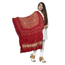 Brown and Maroon Gajji Silk Handwoven Bandhani Dupatta