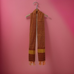 Handloom Single Ikat Patola Silk Stole