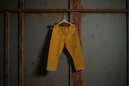 Elegant Cotton Pant / Trouser
