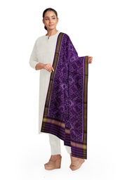 [GGCSIPSD252] Handloom Single Ikat Patola Silk Dupatta